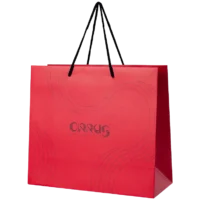 Luxe papieren tassen met draagkoorden